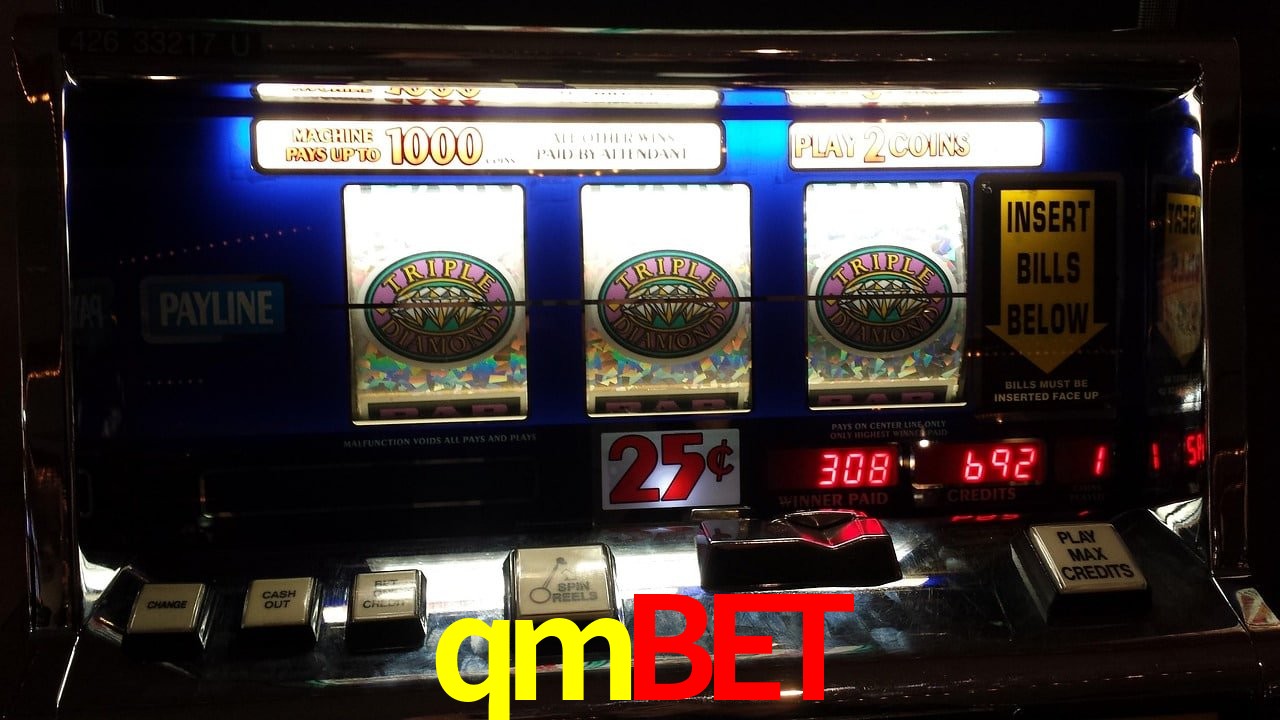 Sports Statistics qmbet